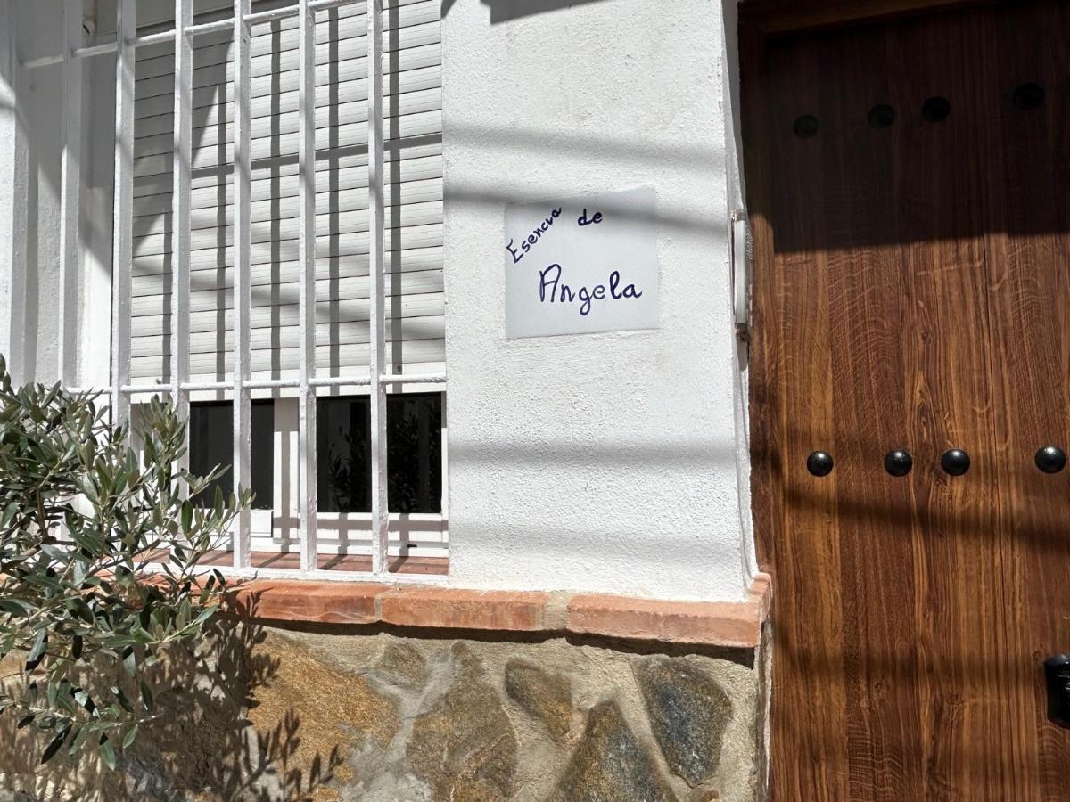 Esencia De Angela 3